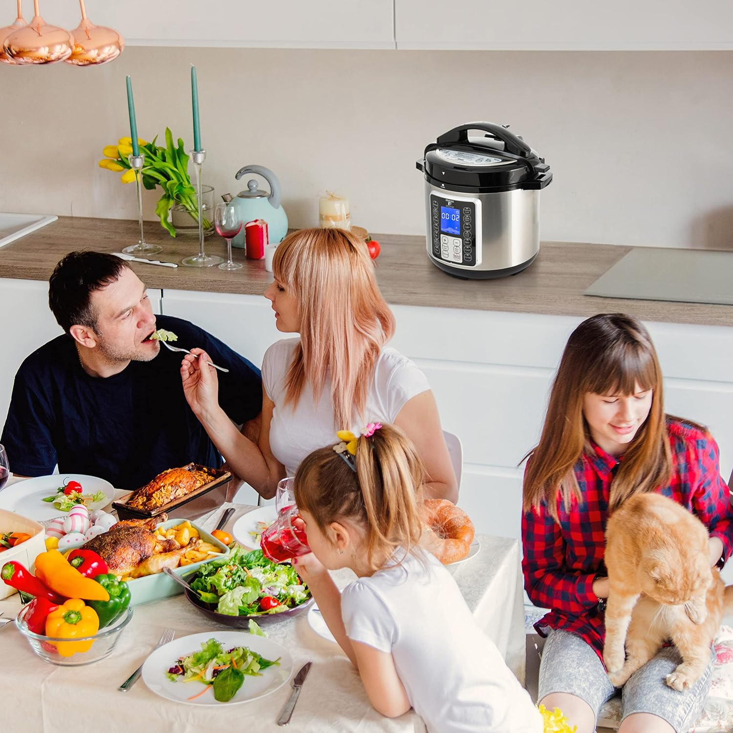 Moss & Stone Electric Multicooker Review